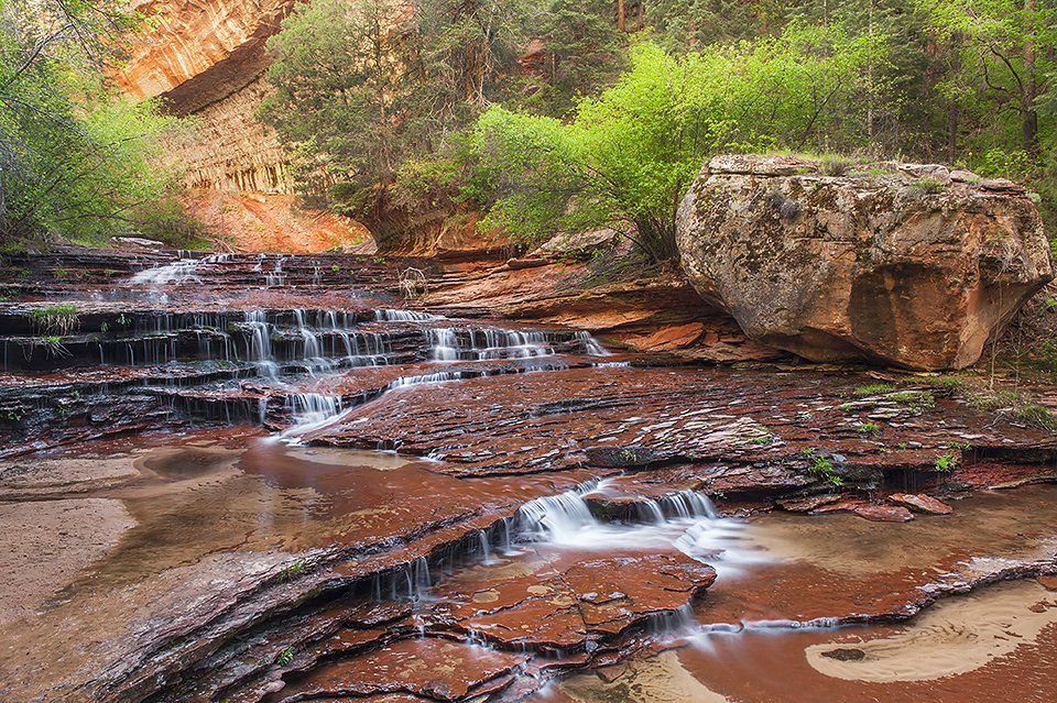 Sanctuary | Zion National Park