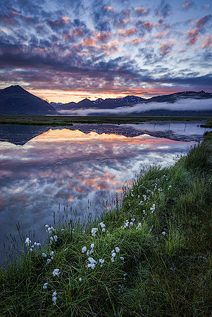 Opus of the Dawn | Iceland